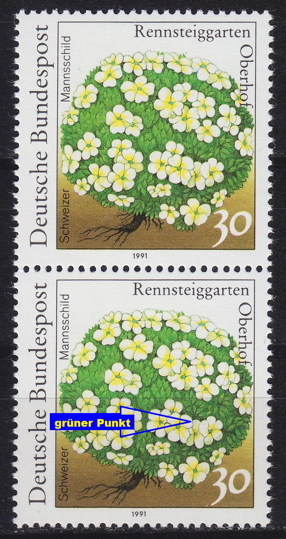 Buy GERMANY BUND [1991] MiNr 1505 F25 2er ( **/mnh ) [01] Blumen Plattenfehler